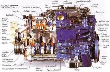 Moden Enjin-Sectioned Lihat 1 V12 Jaguar (enjin moden)